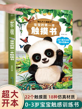 《那么大！地板书：宝宝的第一本触摸书（点读版）》