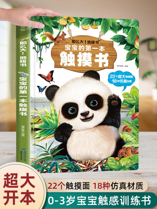 《那么大！地板书：宝宝的第一本触摸书（点读版）》 商品图0