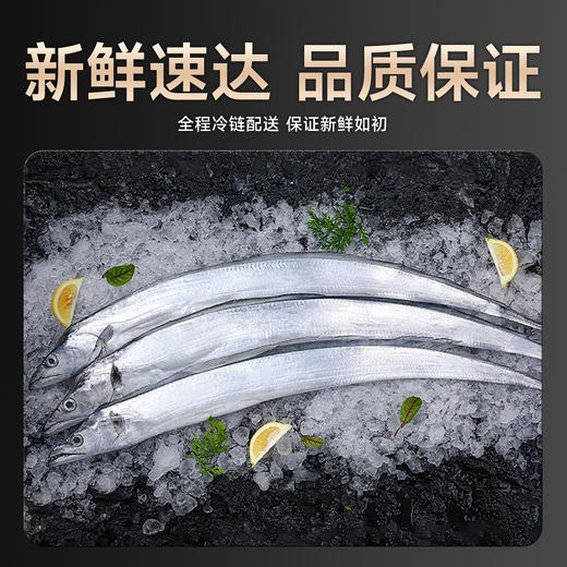 海朴  渤海刀4斤（含4条） 商品图5