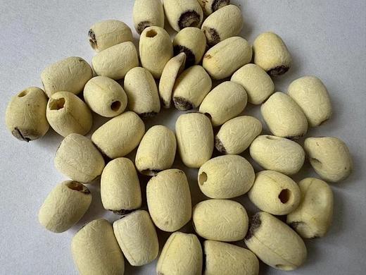 有机苹果刺梨四神汤饮 【基地直发】 商品图7