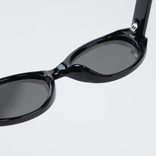 ZYN13020树脂太阳镜-纪念日百货门店同款169097709 商品图3