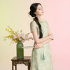 三彩【柳色含烟】2026春季新款新中式连衣裙假两件拼接长裙C 商品缩略图1