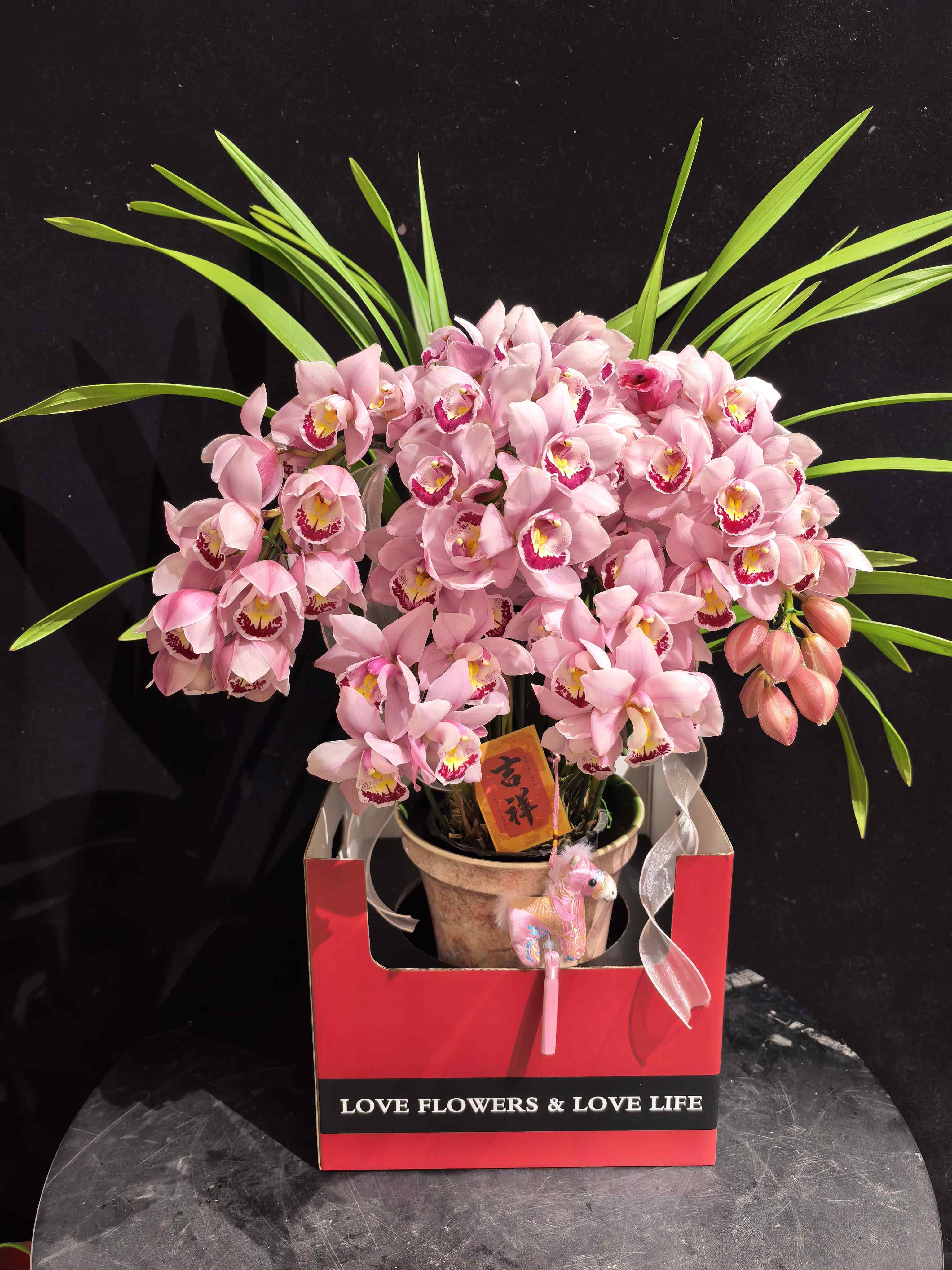 年宵花卉大花蕙兰拱兰专送广州佛山顺德香港澳门珠三角地区