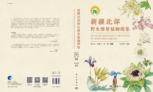 新疆北部野生维管植物图鉴 商品图3