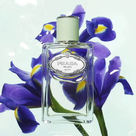 普拉达 鸢尾轻芳（浮梦鸢尾） Prada Infusion d'Iris 分装