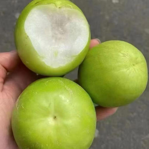 【苹果枣】清甜爽口 天然维C小金矿，颠覆你印象的苹果枣。皮薄果脆，如牛奶般润白，肉厚核小 商品图3