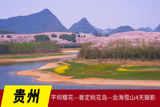 3.12确定出发【贵州】平坝樱花—普定桃花岛—金海雪山4天摄影<特惠> 商品图0