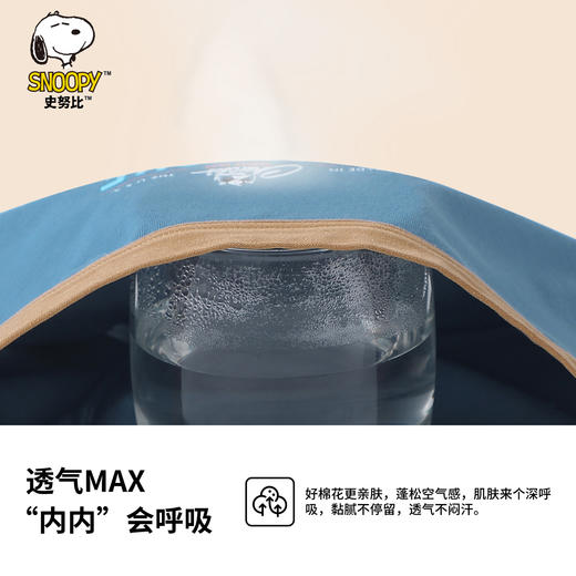 【清仓捡漏】【4条装】【110,150,170】【史努比】男童四季款纯棉内裤组合装 商品图5