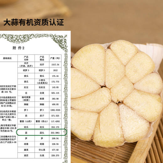 【基地直发】有机葱姜蒜组合930g装有机认证0农残包邮 商品图2