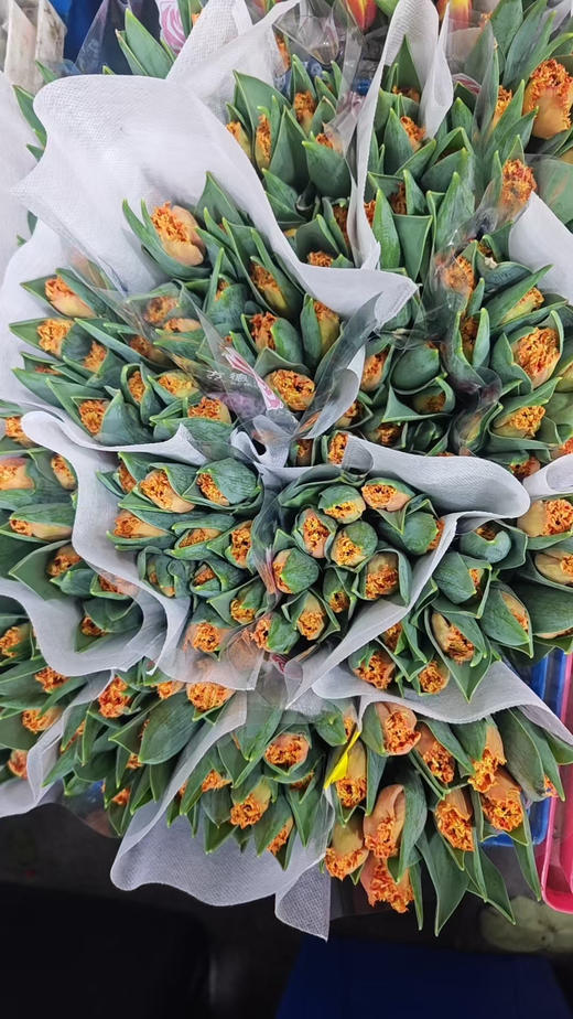 【方德郁金香】贝蒂 毛边橙 10 枝/扎 商品图4