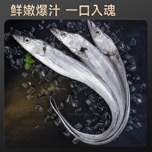 海朴  渤海刀4斤（含4条） 商品图7