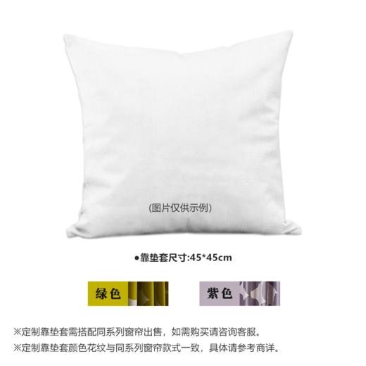  现代简约客厅卧室新款定制窗帘 米娜 商品图4