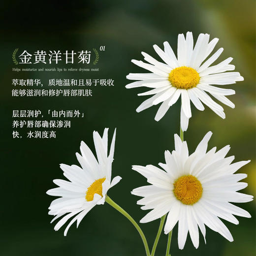 COSRX ENJOYI洋甘菊小甘菊唇膏正品女保湿滋润补水润唇膏 商品图1