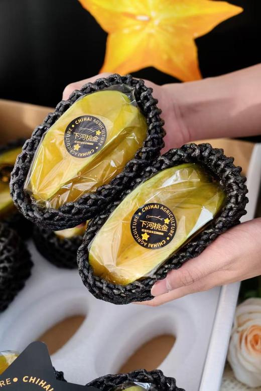 【会员9.5/颗】吃海农业福建下河树熟甜杨桃 需切请备注 200g/颗 商品图3