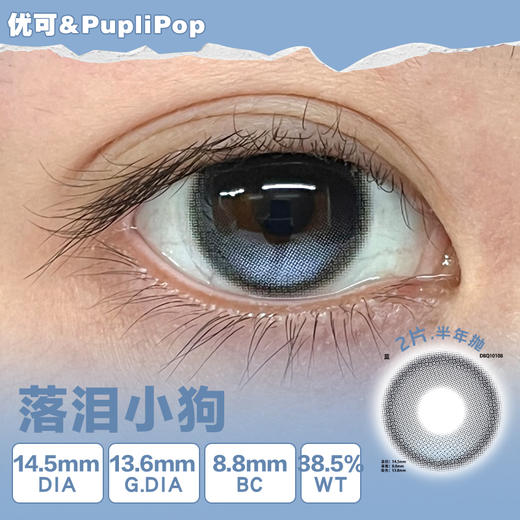 PupliPop定轴高光半年抛·落泪小狗/害羞小猫/海豚吹泡泡·14.5mm中等着色·2片 商品图1