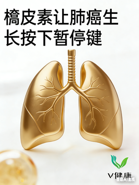 Nature 发现：槲皮素竟能“锁死”极光激酶 B，肺癌生长被按下暂停键！
