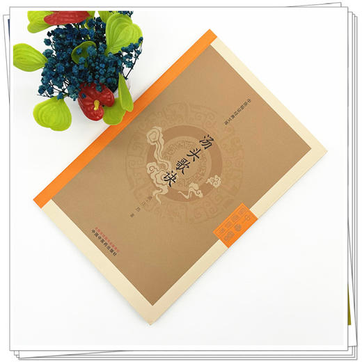 汤头歌诀（清）汪昂著 （中医临证经典文库）中国中医药出版社 明清中医临证小丛书 古典医籍 书籍 商品图1