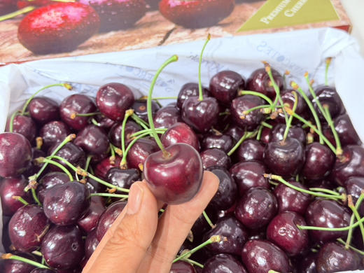 新西兰🇳🇿28-30mm科迪亚红车🍒（4斤装） 商品图3