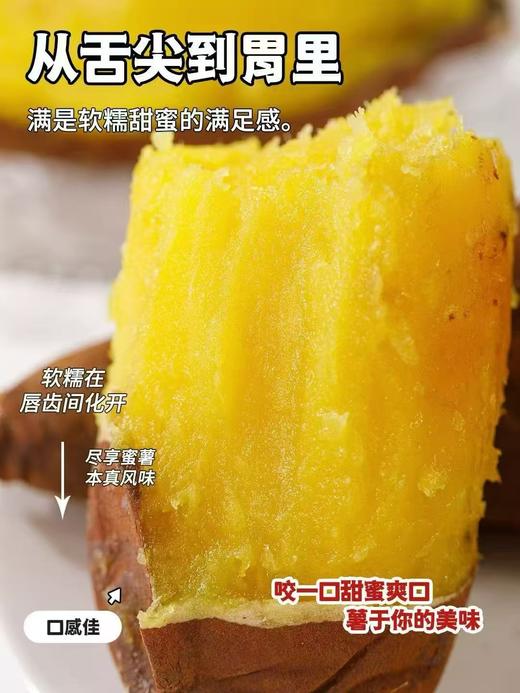 【新品】嘿山贡薯 商品图5