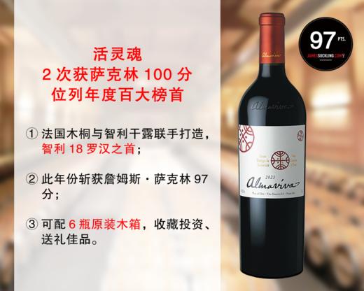 【现货特促，正品行货】【JS97分】智利18罗汉：活灵魂酒庄正牌干红（2023年） 商品图0