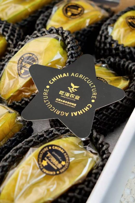 【会员9.5/颗】吃海农业福建下河树熟甜杨桃 需切请备注 200g/颗 商品图1