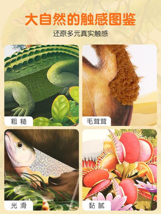 《那么大！地板书：宝宝的第一本触摸书（点读版）》 商品图1