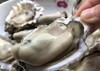 海阳鲜肥生蚝 商品缩略图3