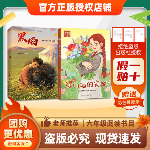 班班26春六年级【书目】《汤姆·索亚历险记》 《杜利特医生航海记》 《黑焰》 《绿山墙的安妮》赠导读单 商品图1
