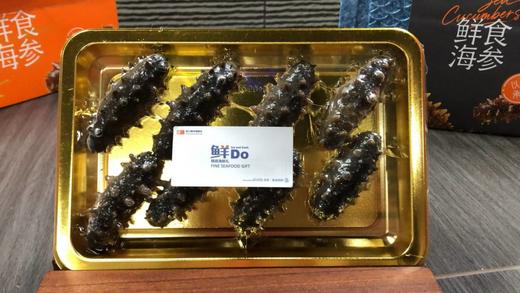 春节礼盒·鲜食海参  没有冰衣保水剂 口感劲道 肉质肥厚 商品图7