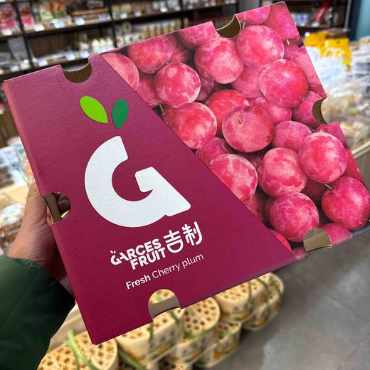 吉制六沟樱桃李（5斤装） 商品图0