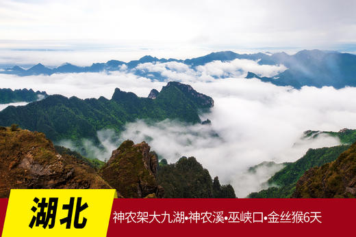 6月15日【湖北】神农架大九湖•神农溪•巫峡口•金丝猴六天摄影 商品图0