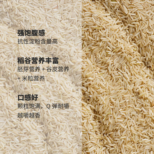 全胚胚芽米500g*5/箱 商品图3
