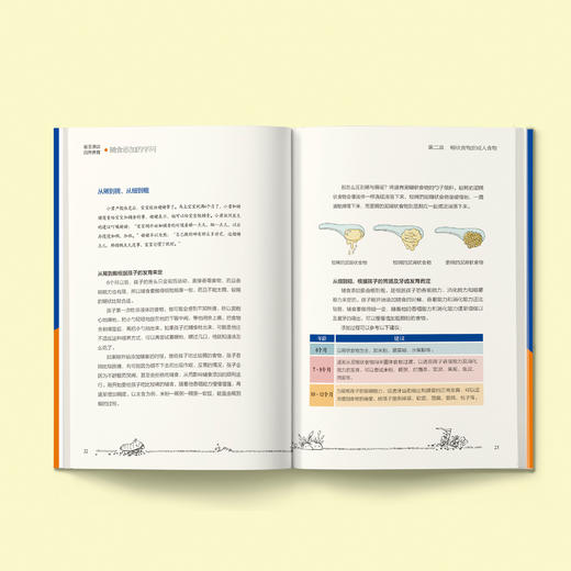 《辅食添加的学问》+《看得见的发育》（崔玉涛谈自然养育）共2册 商品图3