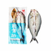 【十堰主城区包邮】楚食比亚 优优翘嘴鲌真空速冻锁鲜翘嘴鱼 3条/5条 （每条1.2~1.4斤） 商品缩略图0