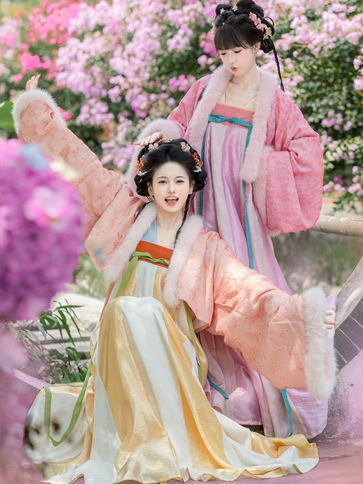 【重回汉唐云歌赋】正品原创齐胸衫裙襦裙披袄唐制汉服女款成人秋 商品图2