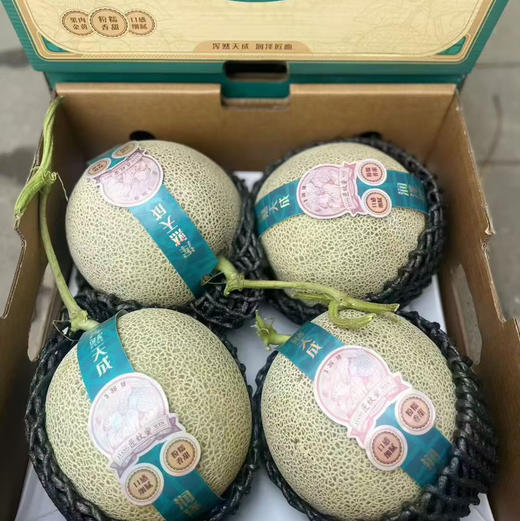 【高端某东同款静冈网纹瓜】出口级品质，伯格大粗纹冰淇淋枚龙蜜瓜，常温放软食用，香嫩多汁，源自日本进口品种，国内精心培育，爆款来袭！放软了吃可以用勺子挖着吃！ 商品图9