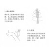 爱马仕（HERMES） 尼罗河花园女士淡香水50ml 跨境购 商品缩略图2