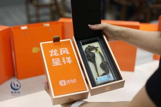 东山岛海马干（线纹海马） 商品图4