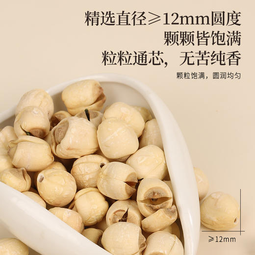 【白莲子 】湖南湘潭产地去芯莲子250g/罐  优质原材 甘平下火降燥温养口感粉糯清甜  商品图6