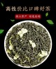 【SLSY】茉莉花茶5斤浓香型餐厅饭馆棋牌室酒店奶茶店专用茶 商品缩略图1
