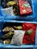 海阳鲜肥生蚝 商品缩略图9