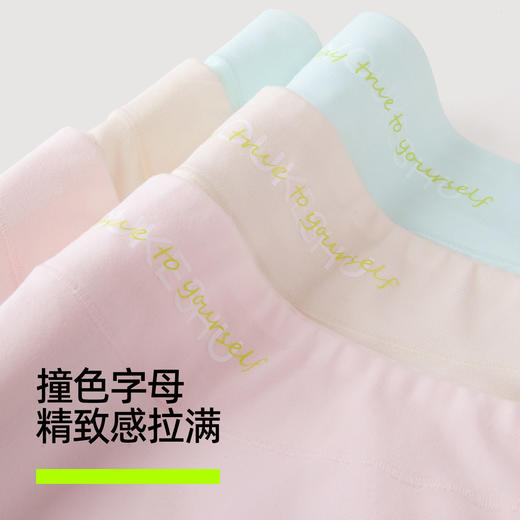 【新品上新】有棵树7A级抗菌聚乳酸桑蚕丝高腰收腹女士平角内裤3条装-U5029 商品图4
