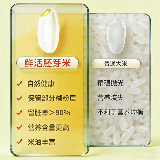全胚胚芽米500g*5/箱 商品图1