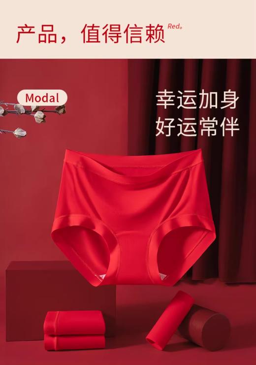 兰精莫代尔无缝红色内裤UA52078 商品图5