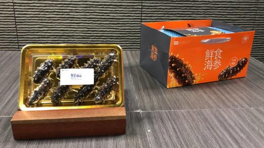 春节礼盒·鲜食海参  没有冰衣保水剂 口感劲道 肉质肥厚 商品图2
