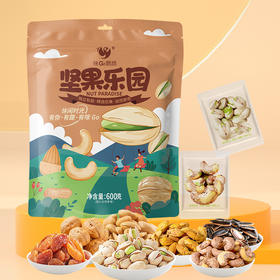 【咪GO鹦鹉】坚果乐园600g