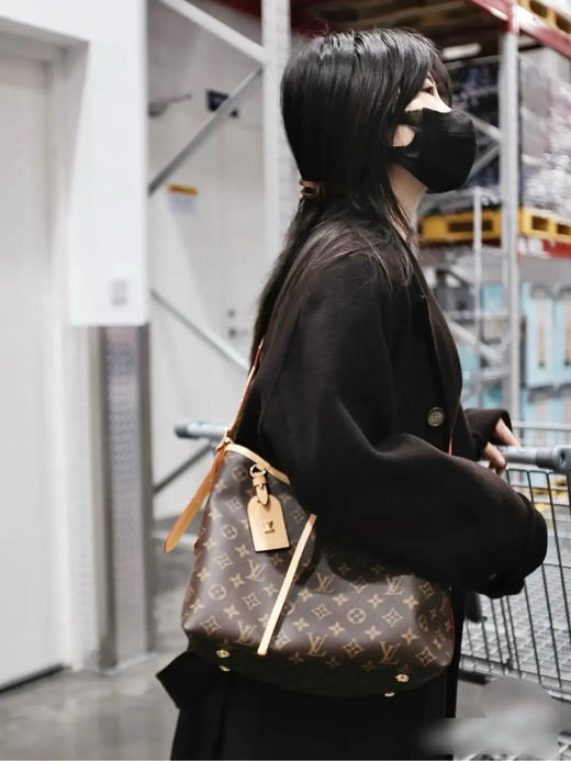 LV 老花 carryall 小号 斜挎包 商品图4