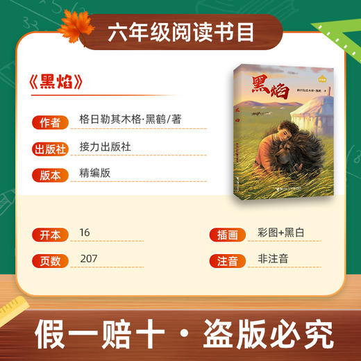 班班26春六年级【书目】《汤姆·索亚历险记》 《杜利特医生航海记》 《黑焰》 《绿山墙的安妮》赠导读单 商品图4