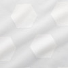  卧室简约客厅阳台EO窗纱 ASM016 LACE 商品缩略图4