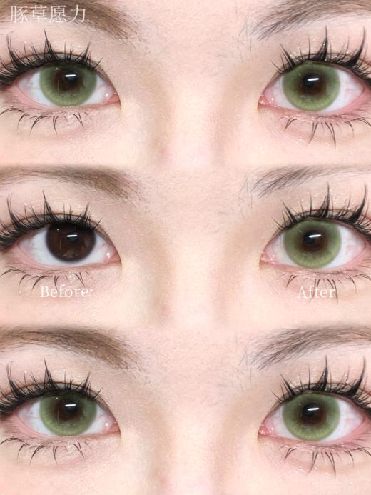 Kira fairy日抛美瞳 豚草愿力 14.2mm 商品图0